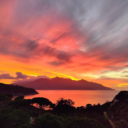 Hotel Scoglio Bianco Портоферрайо Екстер'єр фото
