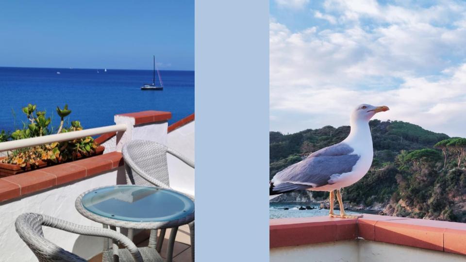 Hotel Scoglio Bianco Портоферрайо Екстер'єр фото